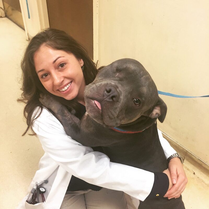 Dr. Sharon Cubelo veterinarian